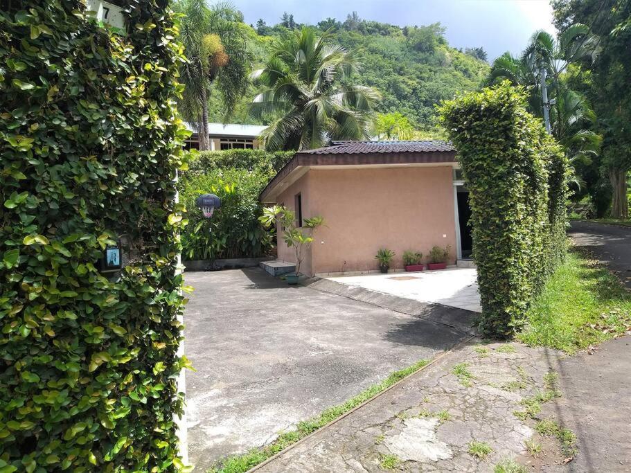 Vacation House In Tahiti Punaauia  Exterior photo